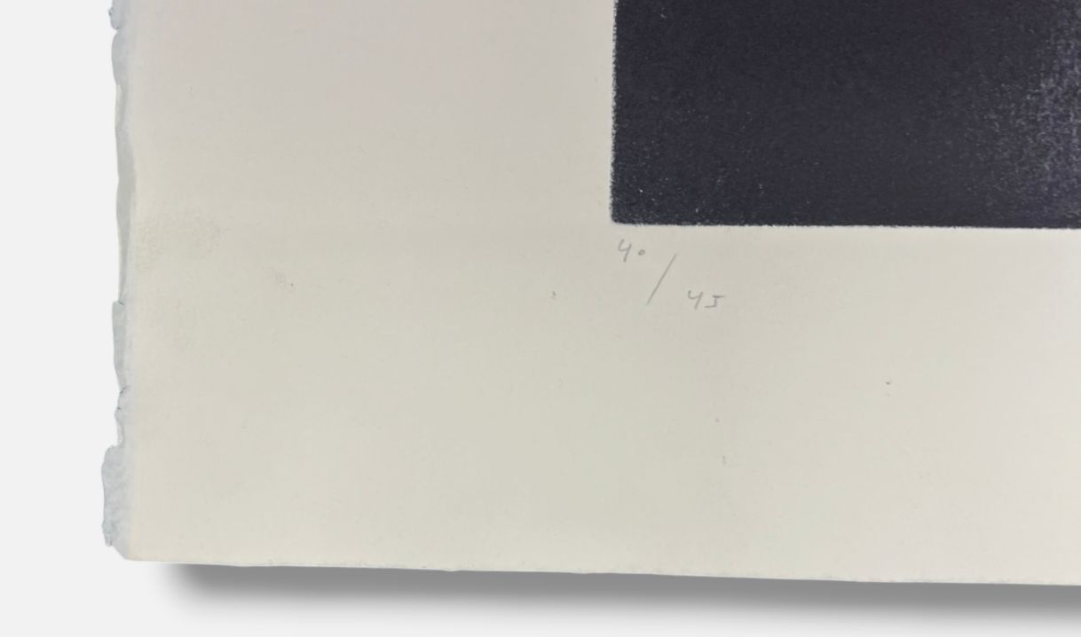 Joaquín Capa Eiriz "Painter's Palette" Limited Signed Fine Wall Art 100 x 70 cm
