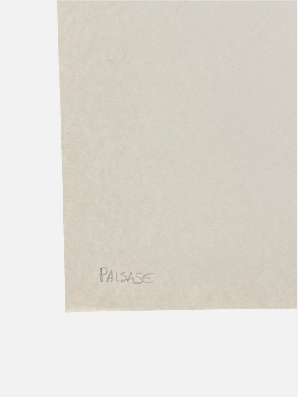 Josep Guinovart "Paisaje" 1984 Limited Signed Unframed Fine Wall Art, 54Lx40W cm