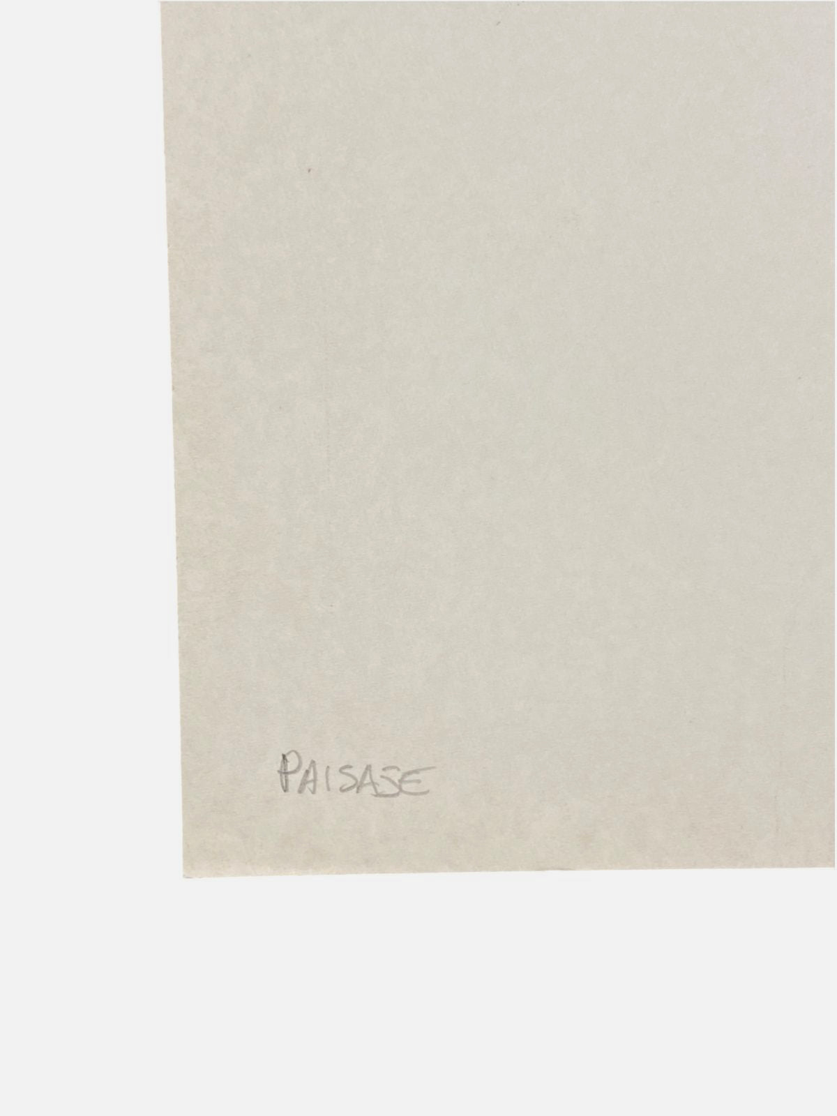 Josep Guinovart "Paisaje" 1984 Limited Signed Unframed Fine Wall Art, 54Lx40W cm