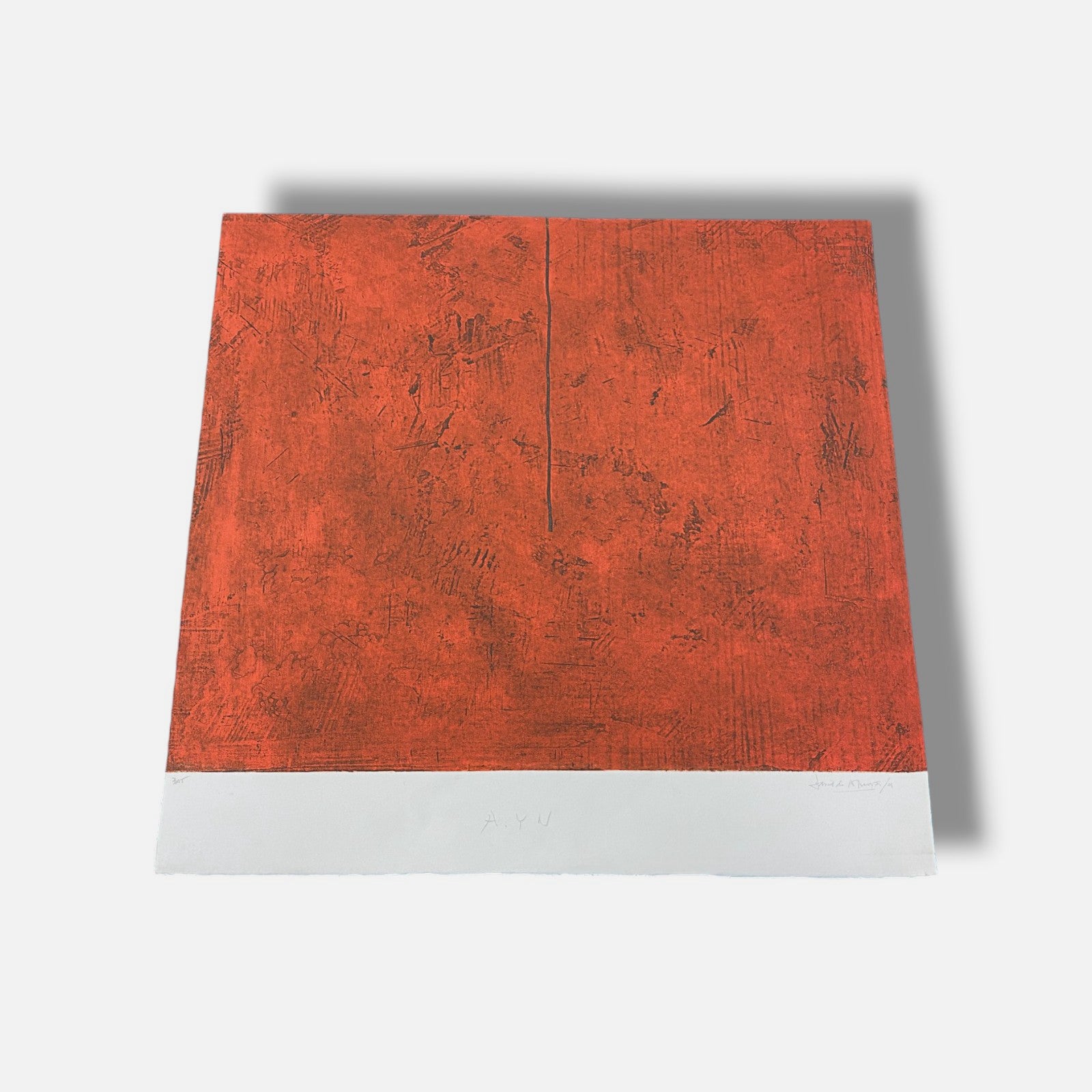 David de Almeida "S/T (Camino)" B.A.T. Limited Signed Wall Art Print | 56 x 56