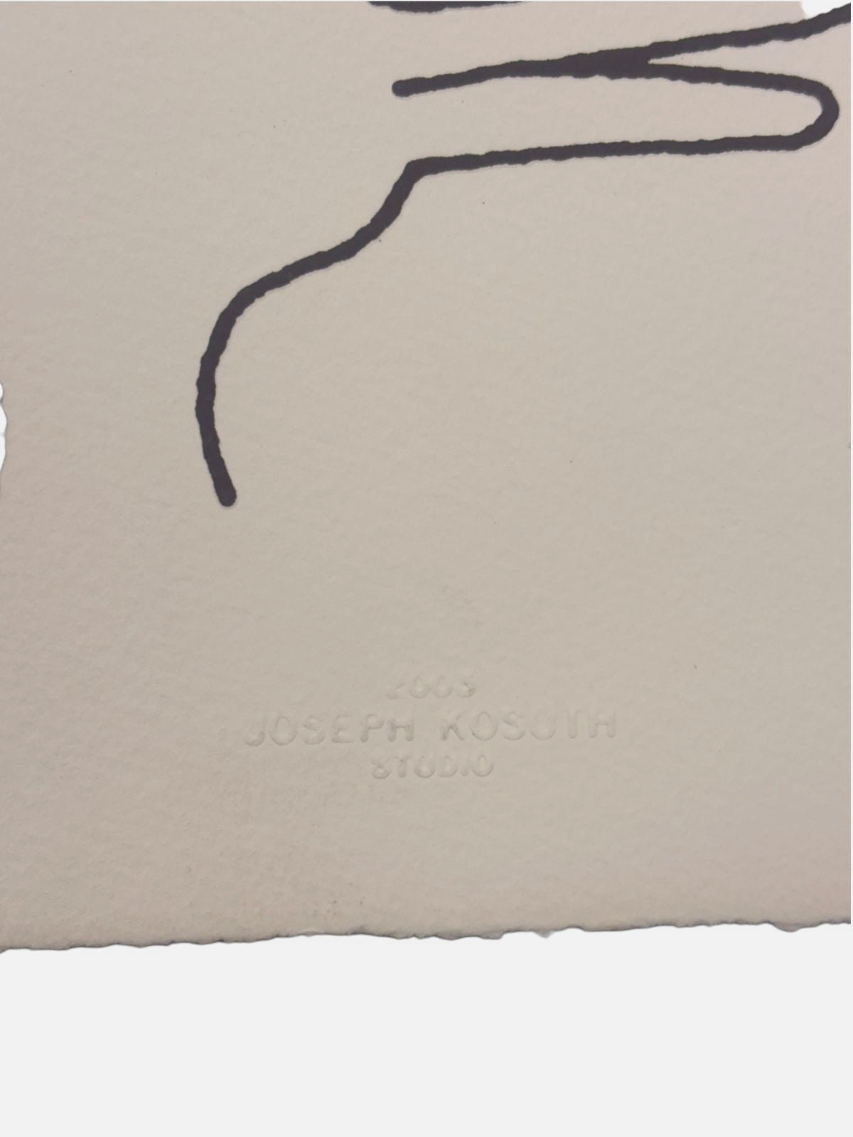 Joseph Kosuth "Borges y el Pato-Coneju" P.T. 2003 Limited Signed Wall Art, 50x50