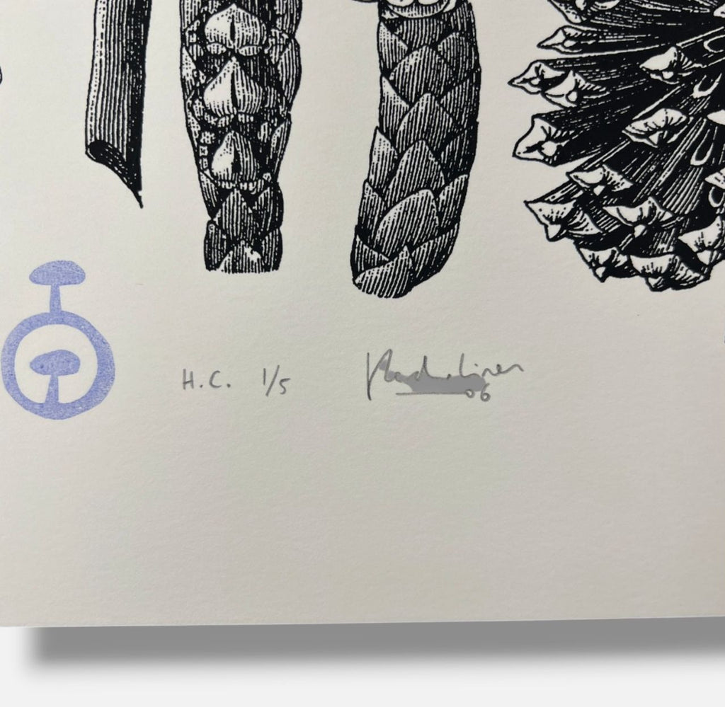 Pedro Oliver "Naturbomb II" H.C. 2006 Limited Signed Wall Art | 110 x 76 cm