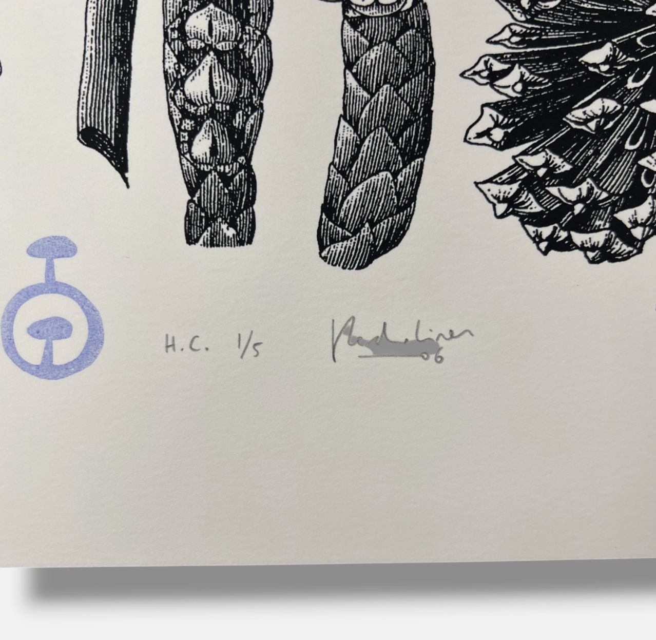 Pedro Oliver "Naturbomb II" H.C. 2006 Limited Signed Wall Art | 110 x 76 cm