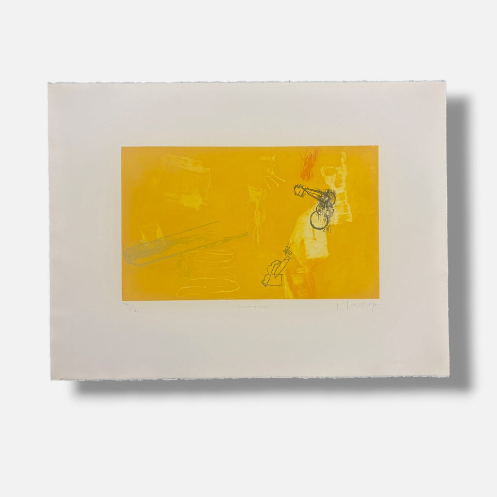 Joaquín Capa Eiriz "Yellow - Yellow" /65 Limited Signed Fine Wall Art 56L x 76W