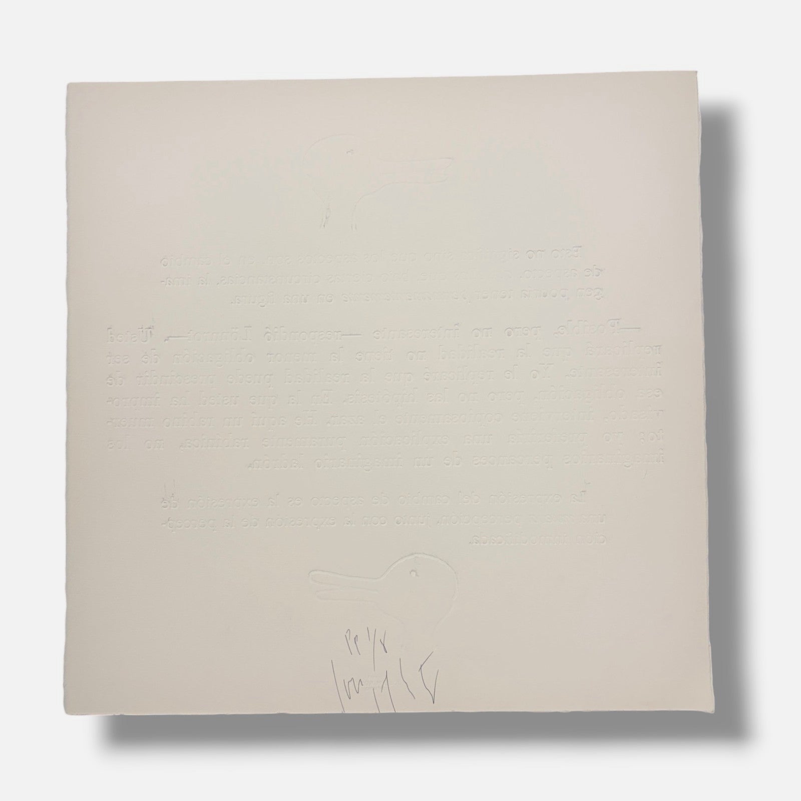 Joseph Kosuth "Borges y el Pato-Coneju" P.T. 2003 Limited Signed Wall Art, 50x50