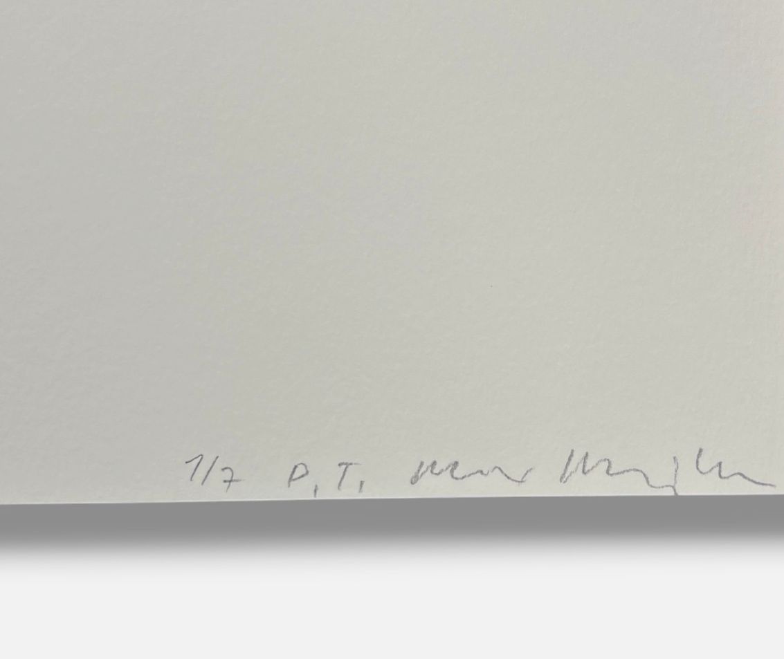 Alex Hanimann "All Has Not Been Said And Done II" P.T. Limited Signed Wall Art