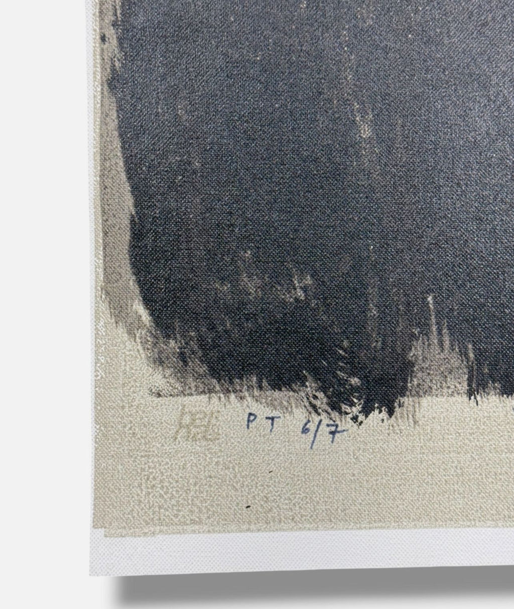 David Israel Pérez Aznar "S/T I" P.T. 2001 Limited Signed Fine Wall Art 73Lx54W