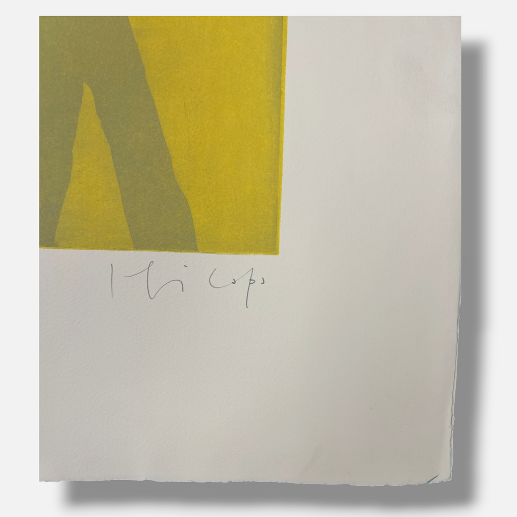Joaquín Capa Eiriz "Yellow Grey" Limited Signed Fine Wall Art Print