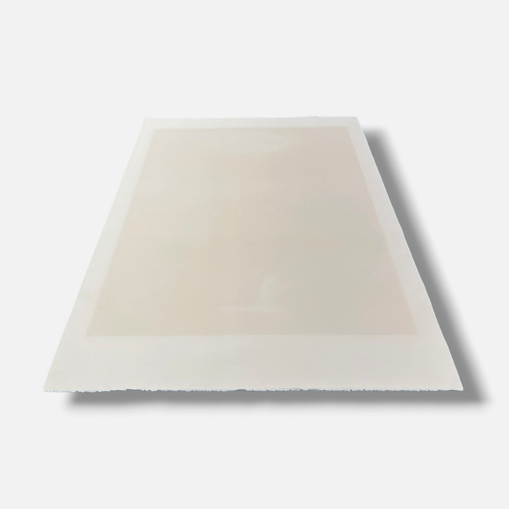 Maurizio Lanzillotta "Pajaro y Nube" 2006 Limited Signed Wall Art, 70 x 100 cm