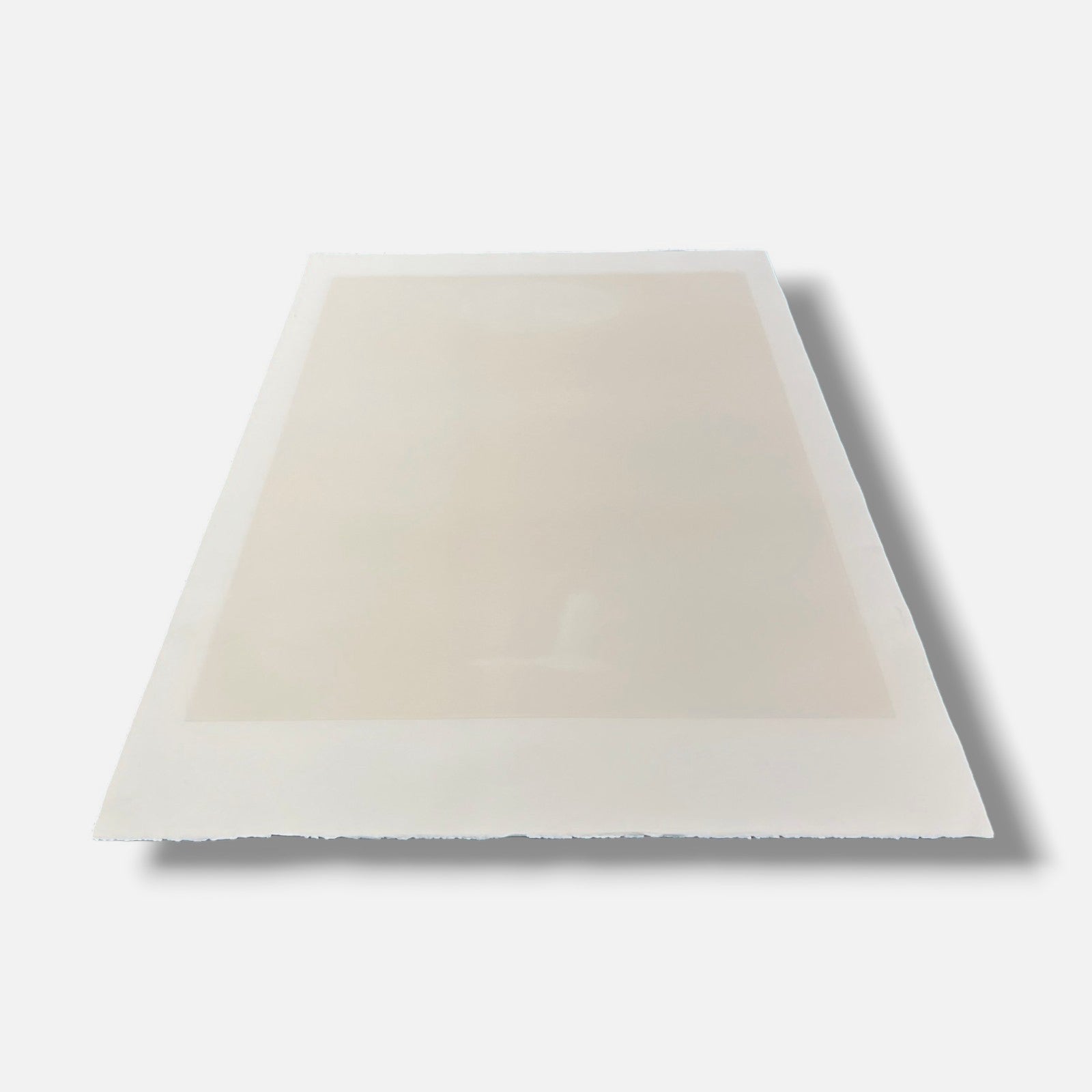 Maurizio Lanzillotta "Pajaro y Nube" 2006 Limited Signed Wall Art, 70 x 100 cm