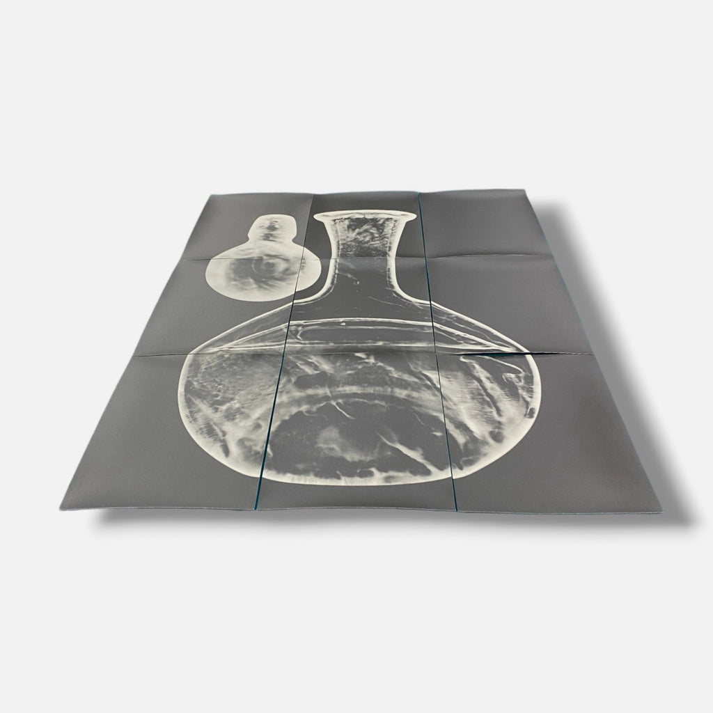 Sylvie Bussières "Sèrie Inutiles de Cristal" Foto No.2 Photogram Mural Wall Art