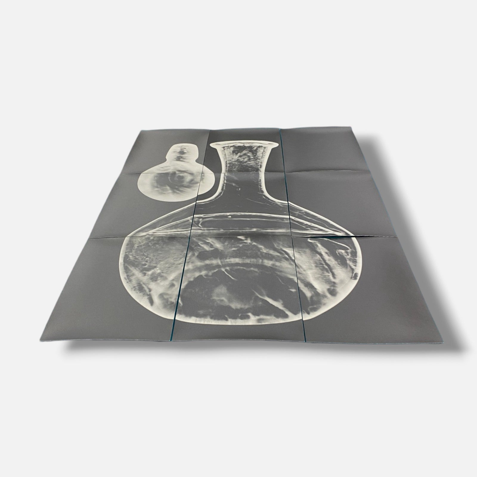 Sylvie Bussières "Sèrie Inutiles de Cristal" Foto No.2 Photogram Mural Wall Art