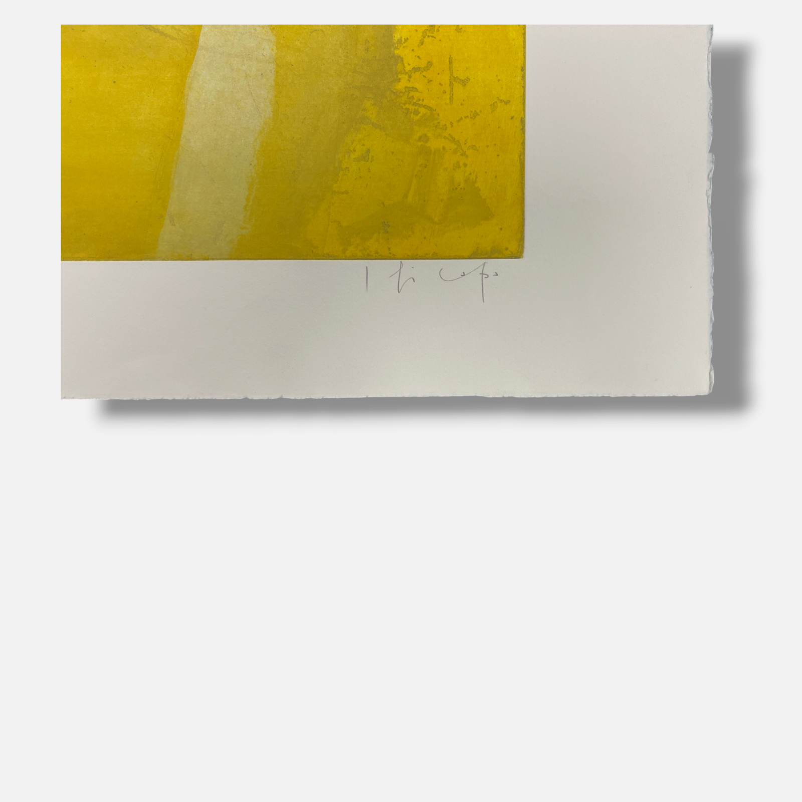 Joaquín Capa Eiriz "Yellow" Limited Signed Fine Wall Art Print, 73L x 50W cm