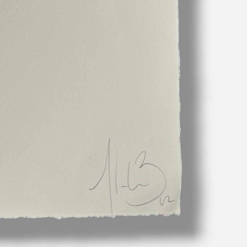 Ana Soler Baena "Alas o Tacones para el Camino II" Limited Signed Wall Art