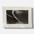 Toni Crabb "FIber 1 (Moths) III" Limited Signed Art Photography Print, 12x17 cm