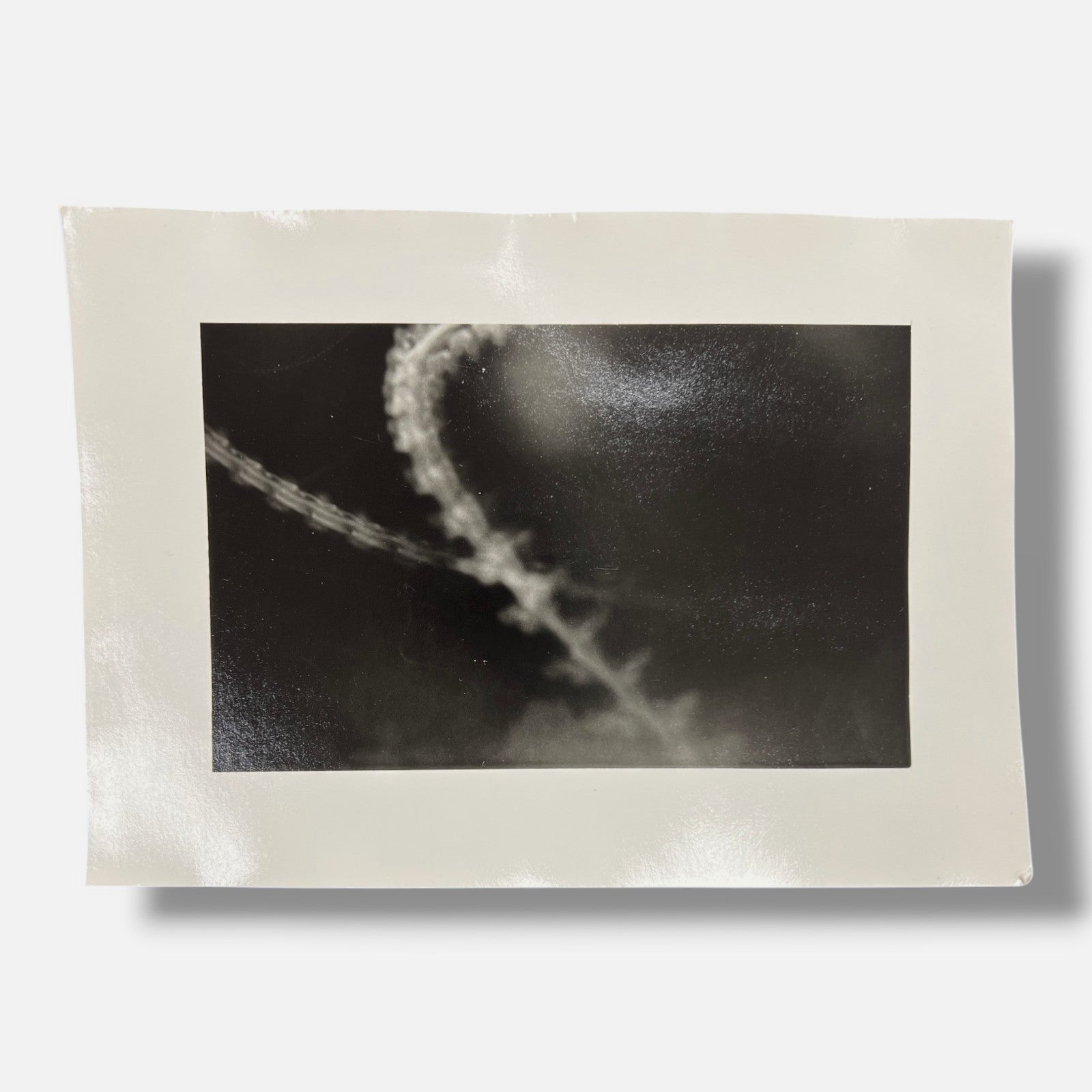 Toni Crabb "FIber 1 (Moths) III" Limited Signed Art Photography Print, 12x17 cm