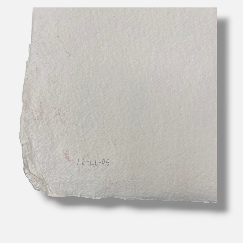 Lluís Lleó "Art Materials II" 2006 Limited Signed Fine Wall Art 101L x 76W cm
