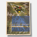 Ivonne Ferrer "Serie Abandonados III" 2002 Limited Signed Wall Art Print