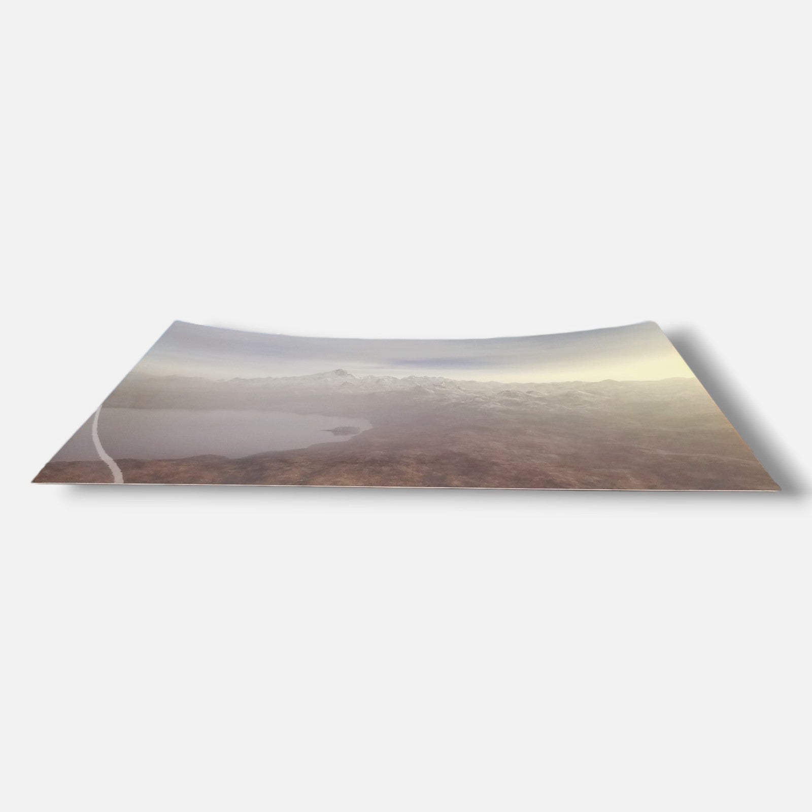 Joan Fontcuberta "Orogenesis: Pene" H.C. 2003 Limited Signed Wall Art