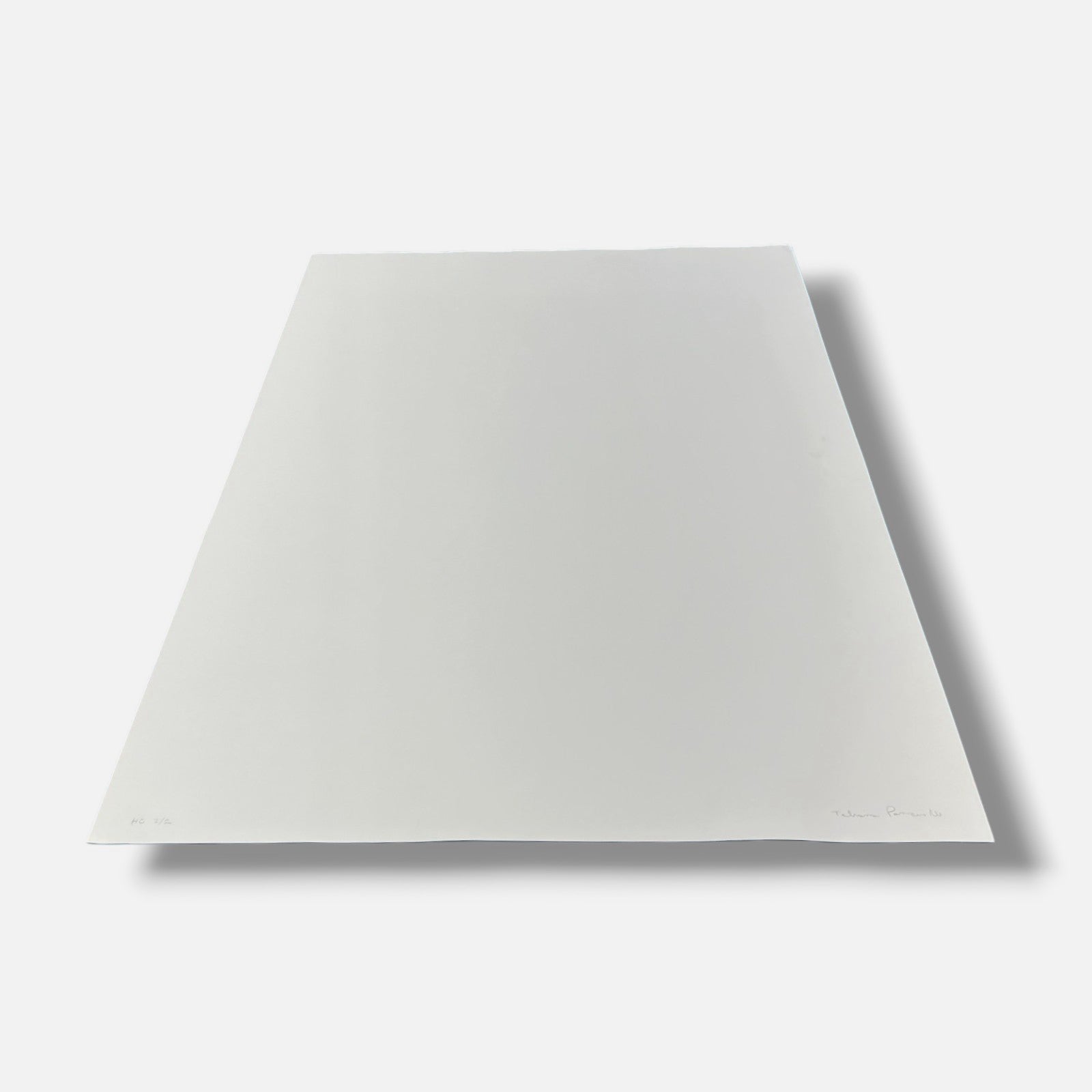 Tatiana Parcero "Re-Invento #15" 2006 Limited Signed Wall Art | 70 x 100 cm