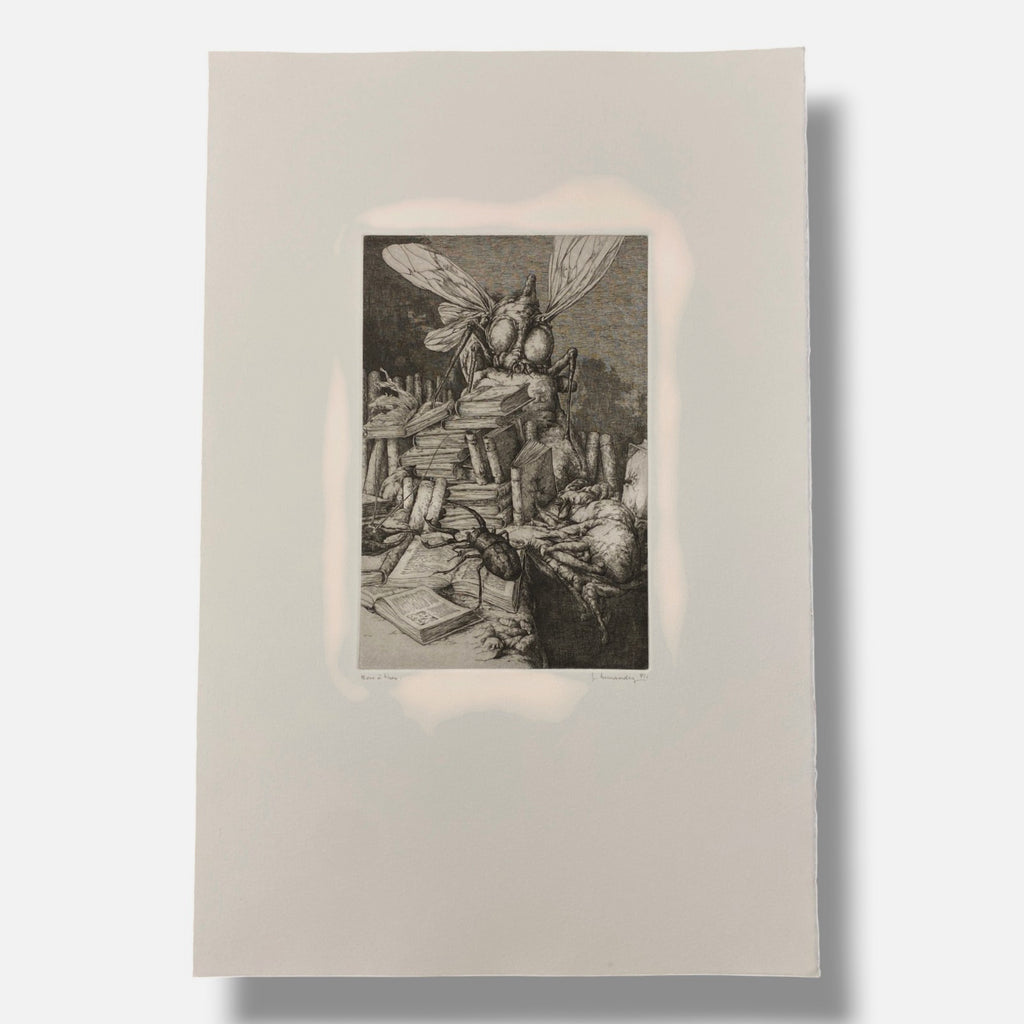 Jose Hernandez Muñoz "Une Saison En Enfer" Poem & Art Print Set, 50 x 32 cm