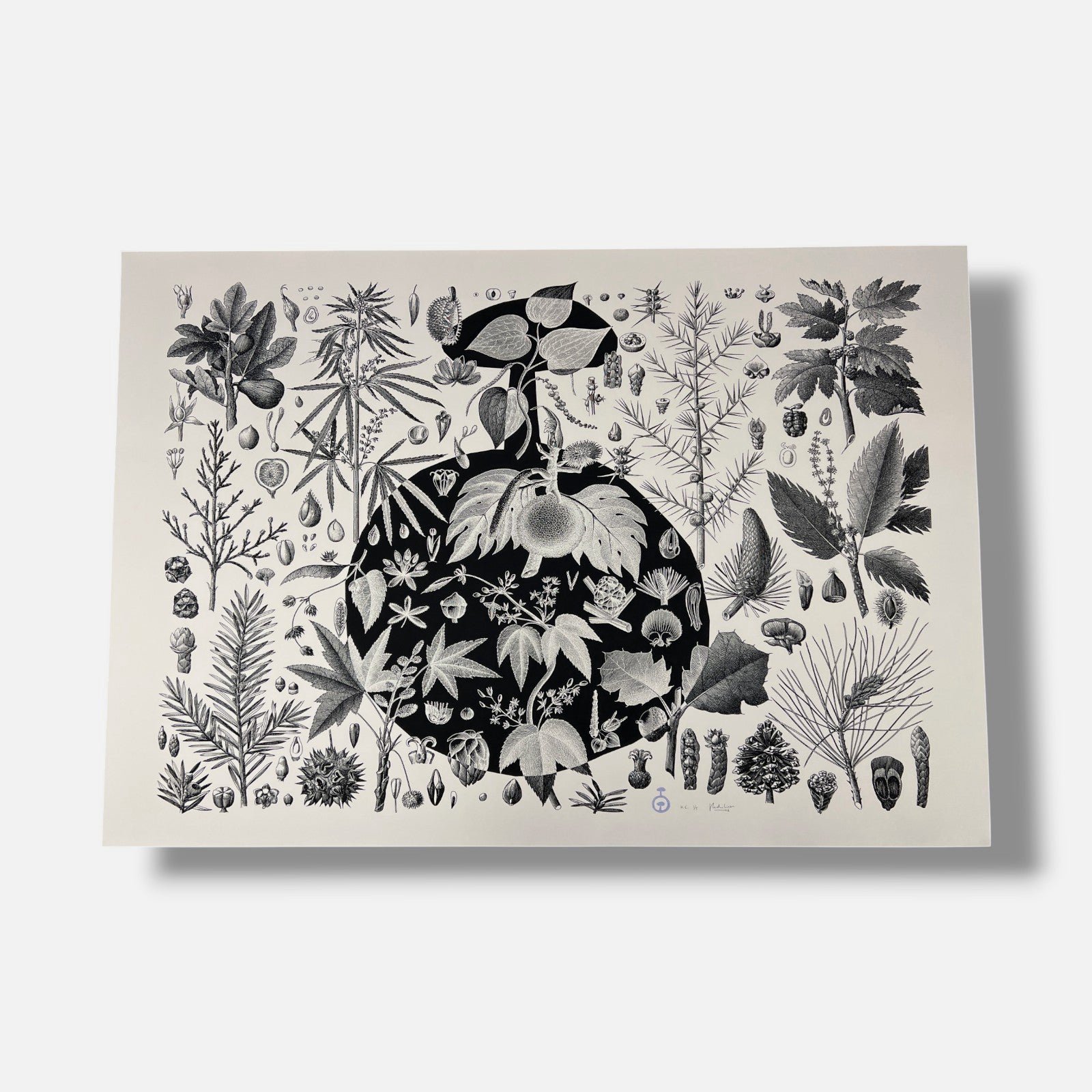 Pedro Oliver "Naturbomb II" H.C. 2006 Limited Signed Wall Art | 110 x 76 cm