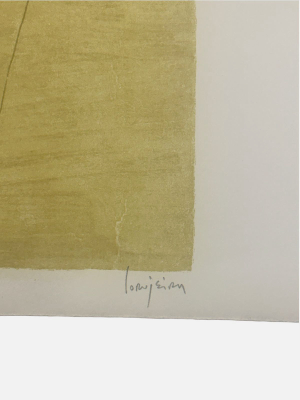 Alejandro Corujeira "El Metodo Regular De La Nieve III" P.T. Signed Limited Art