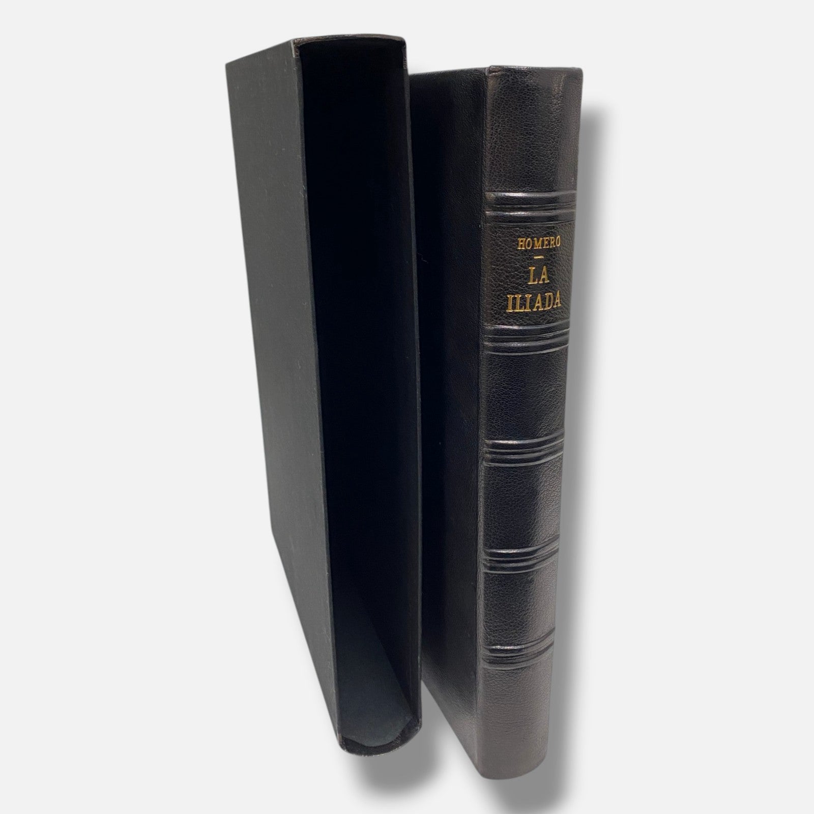 Chema Cobo "La Lliada" 1987 24-Piece Art Book Set | 67 x 53 cm