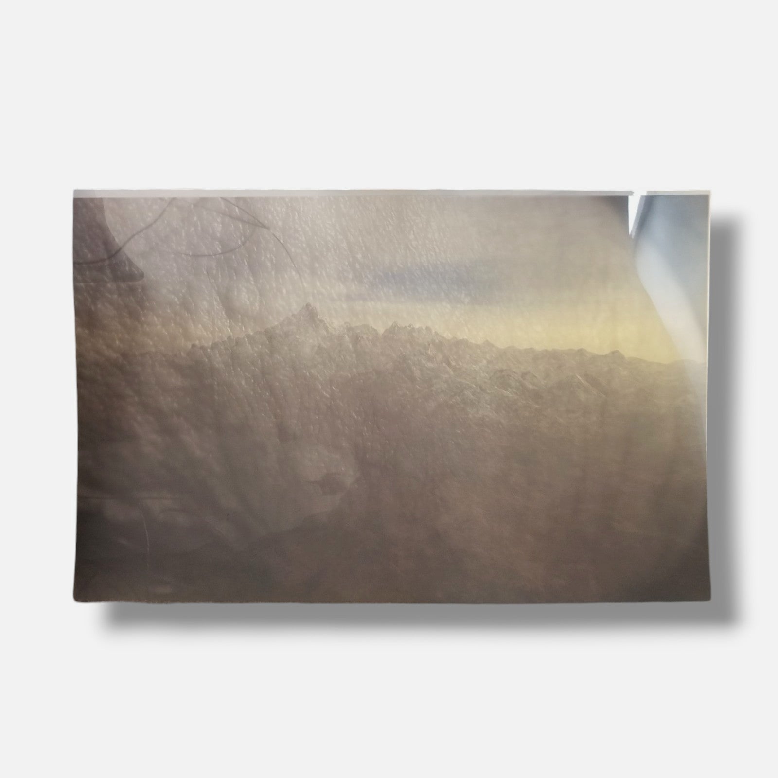 Joan Fontcuberta "Orogenesis: Pene" H.C. 2003 Limited Signed Wall Art