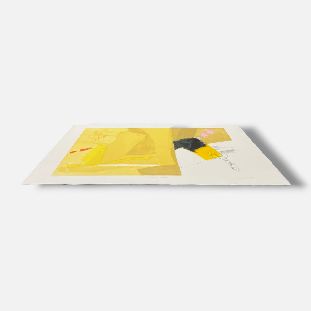 Joaquín Capa Eiriz "Drawing Yellow" Limited Signed Fine Wall Art Print