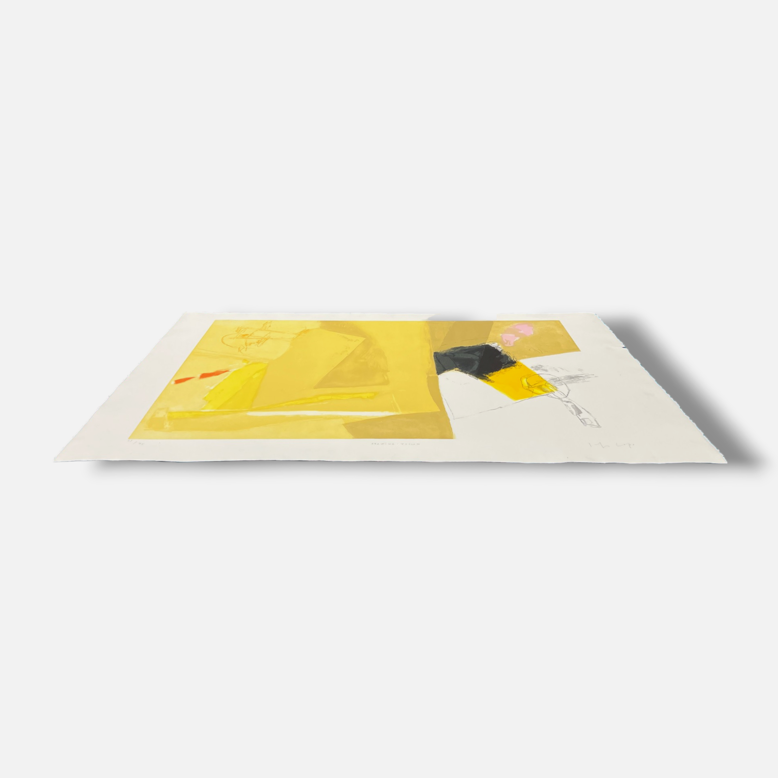 Joaquín Capa Eiriz "Drawing Yellow" Limited Signed Fine Wall Art Print