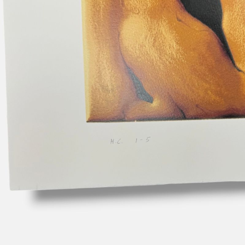 Andoni Euba Fuentes "Celosia De Raiz" H.C. 2006 Limited Signed Wall Art