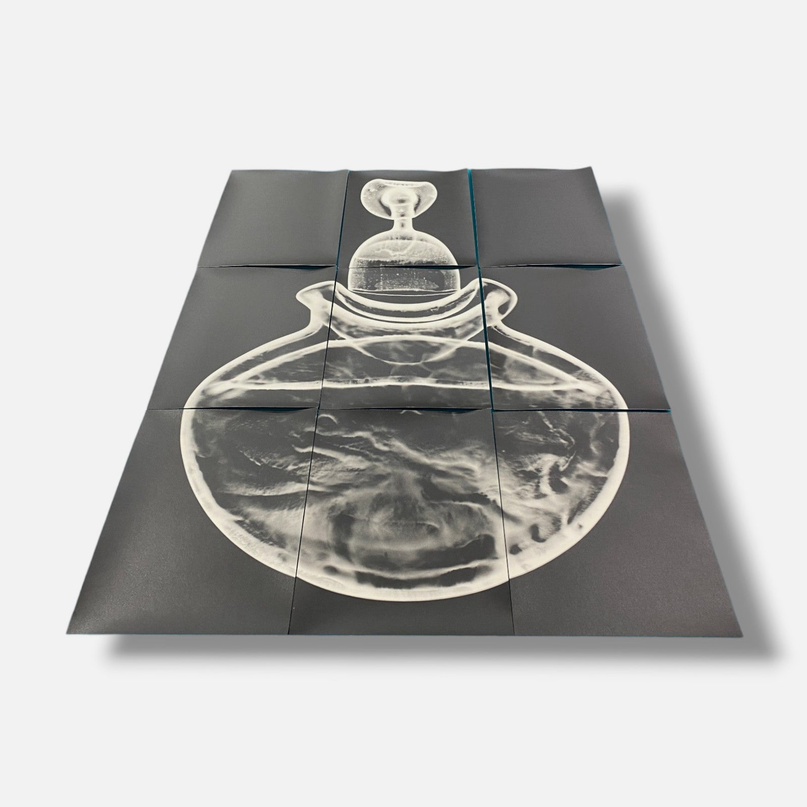 Sylvie Bussières "Sèrie Inutiles de Cristal" Foto No.3 Photogram Mural Wall Art