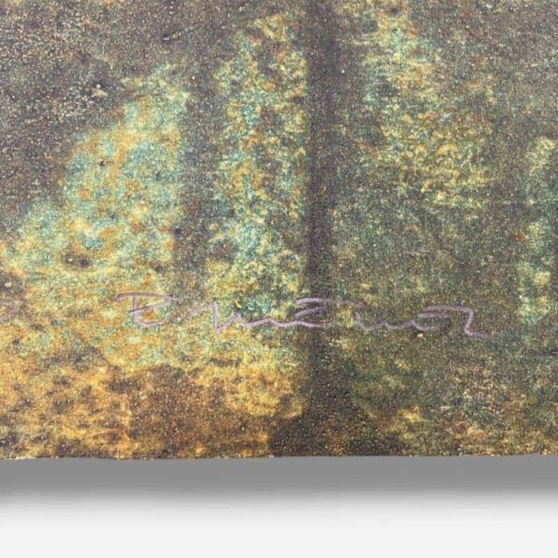 Elena Jiménez Moreno "Sumatra - Serie: Antipodas" Signed Wall Art | 60 x 112 cm