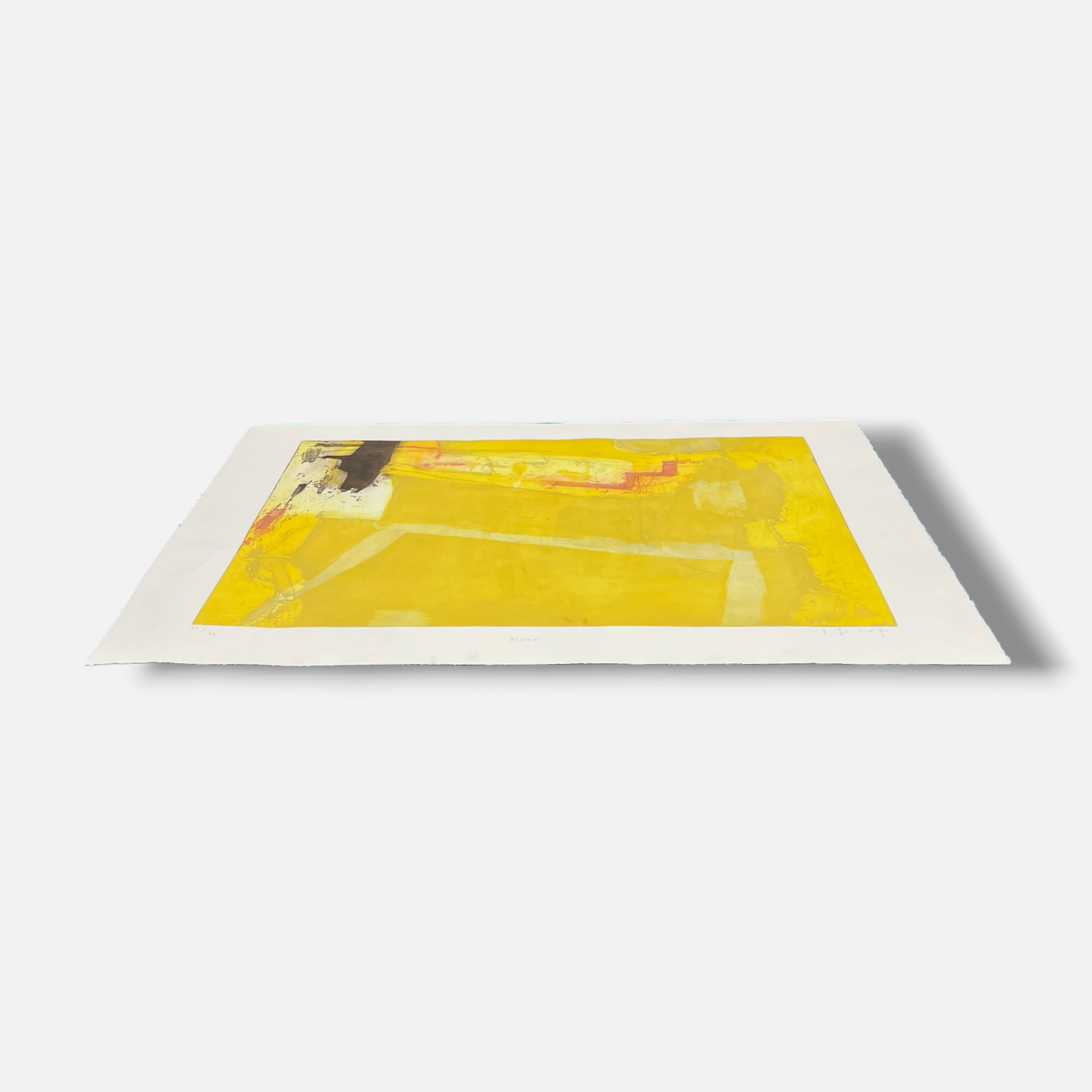 Joaquín Capa Eiriz "Yellow" Limited Signed Fine Wall Art Print, 73L x 50W cm