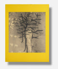 Fernando Sánchez Calderón "Luz De Dia" P.T. 2003 Signed Limited Wall Art 70x50cm