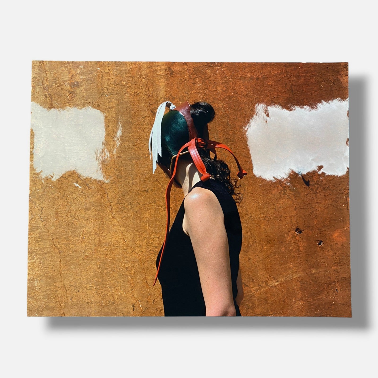 Linarejos Moreno "Aves de Presa II" Large Fine Photography Wall Art | 28 x 35"