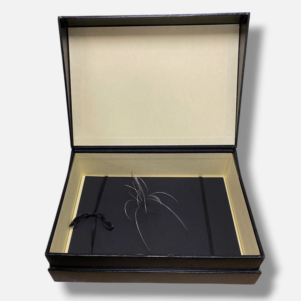 Blanca Muñoz Gonzalo "Alrededores De La Via Lactea I" 2006, Fine Box Art Piece