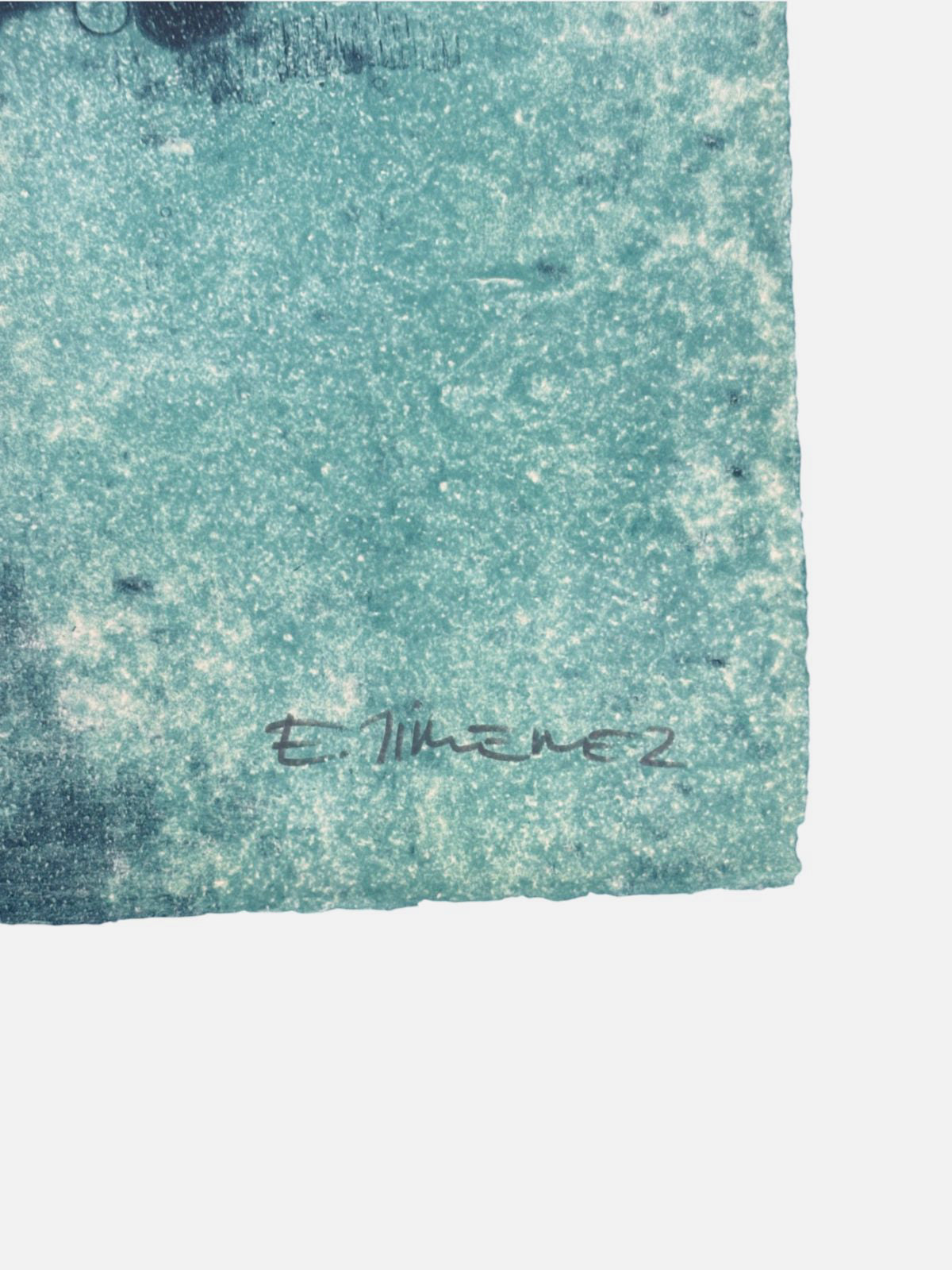 Elena Jiménez Moreno "Serie: Muestra deTierra" Limited Signed Wall Art 38Lx38Wcm
