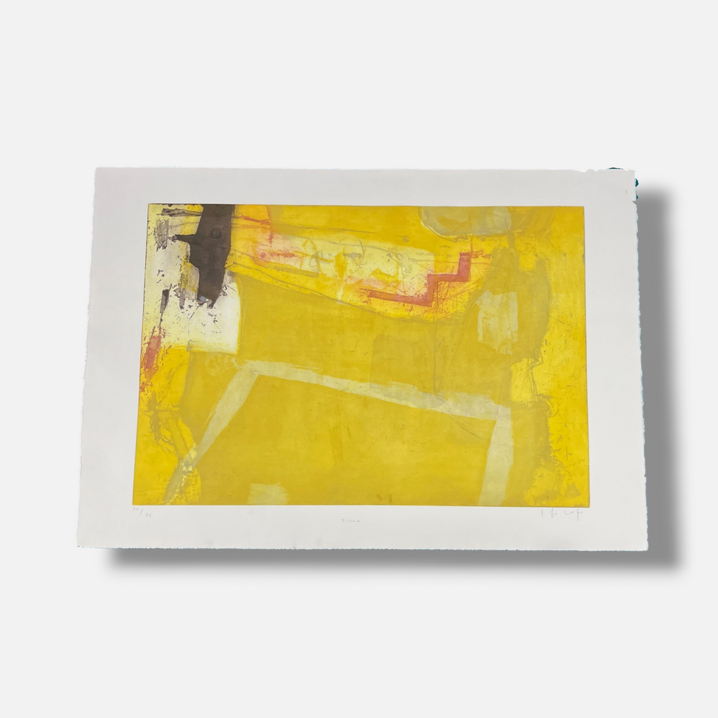 Joaquín Capa Eiriz "Yellow" Limited Signed Fine Wall Art Print, 73L x 50W cm
