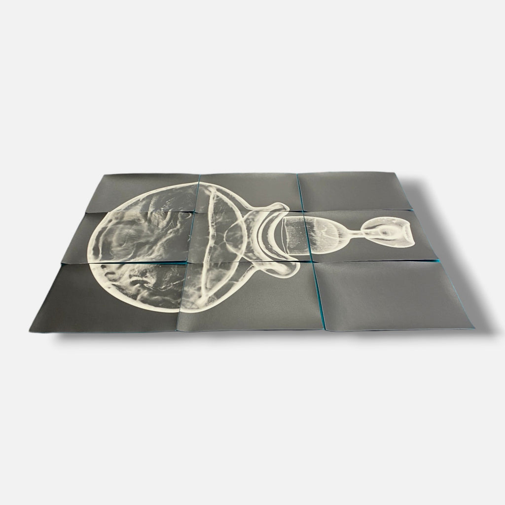 Sylvie Bussières "Sèrie Inutiles de Cristal" Foto No.3 Photogram Mural Wall Art