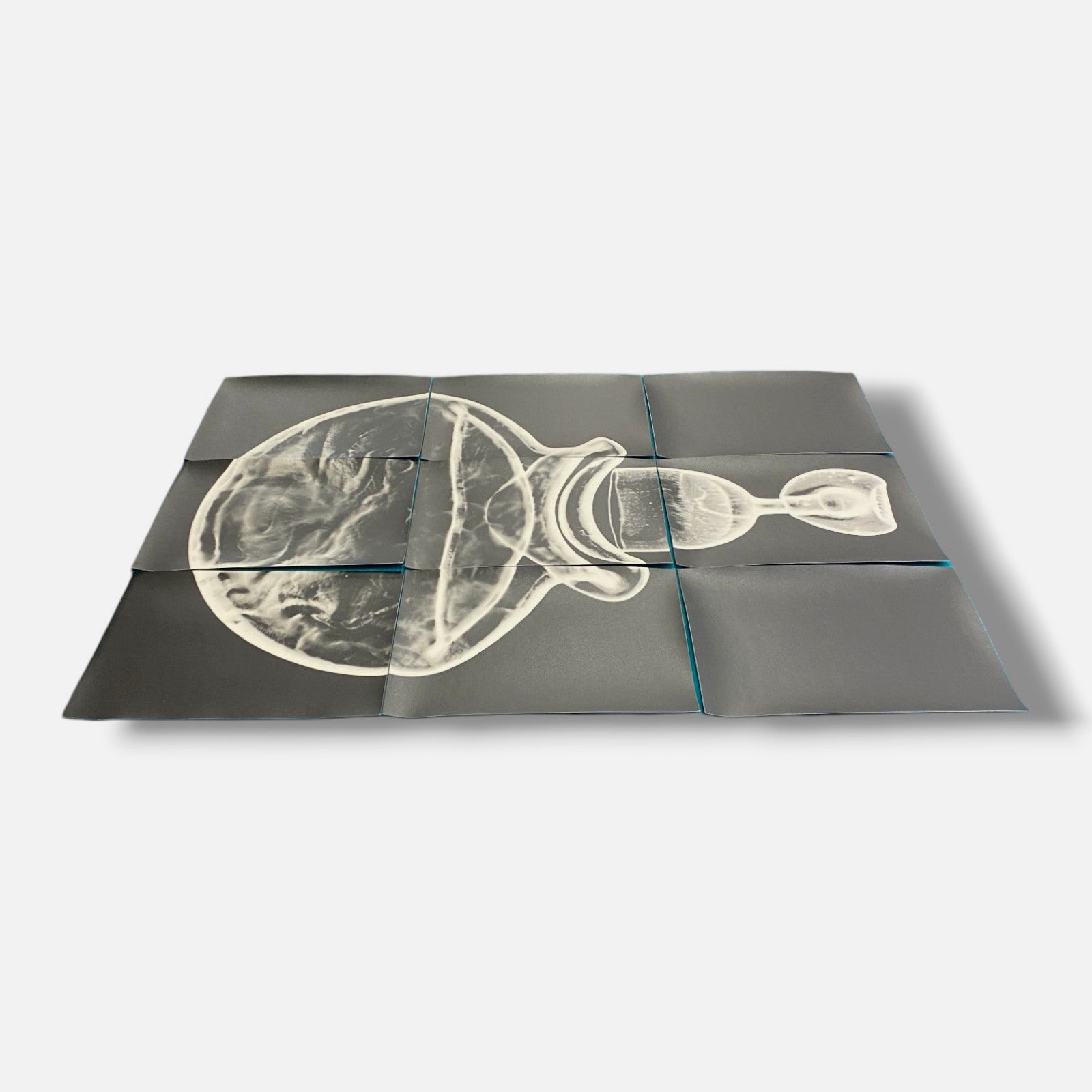 Sylvie Bussières "Sèrie Inutiles de Cristal" Foto No.3 Photogram Mural Wall Art
