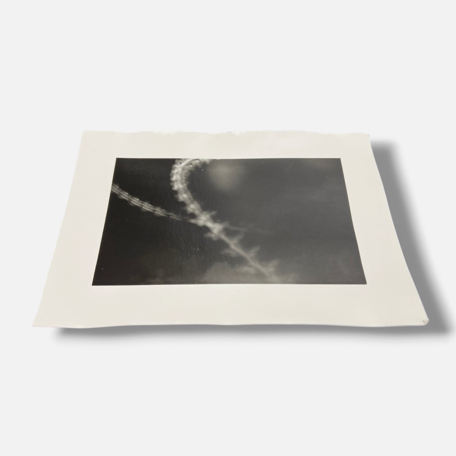 Toni Crabb "FIber 1 (Moths) III" Limited Signed Art Photography Print, 12x17 cm