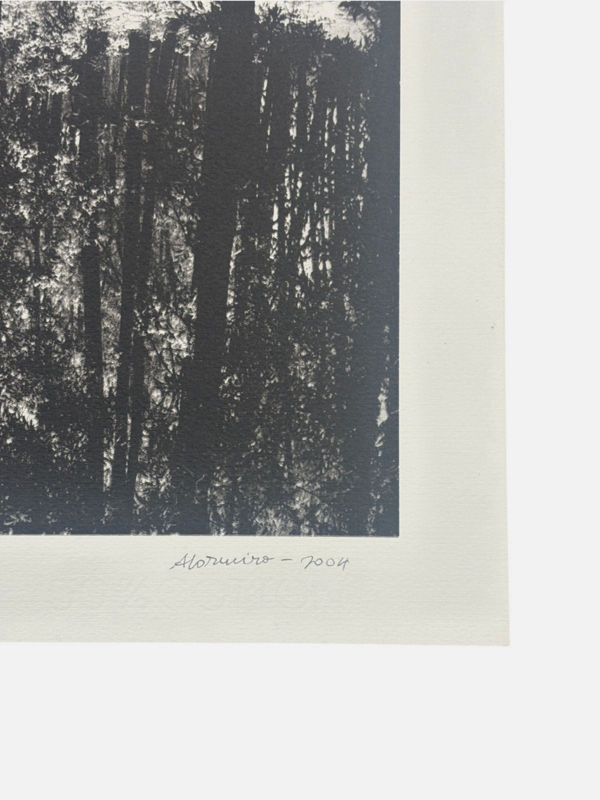 Alberto Carneiro ''Os Caminhos da Floresta'' /99 2004 Limited Signed Art 69Lx81W