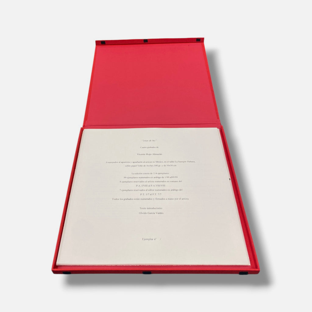 Vicente Rojo Almazán "Islas De Luz" 2004, 4-Piece Fine-Art Print Set, 50 x 50 cm