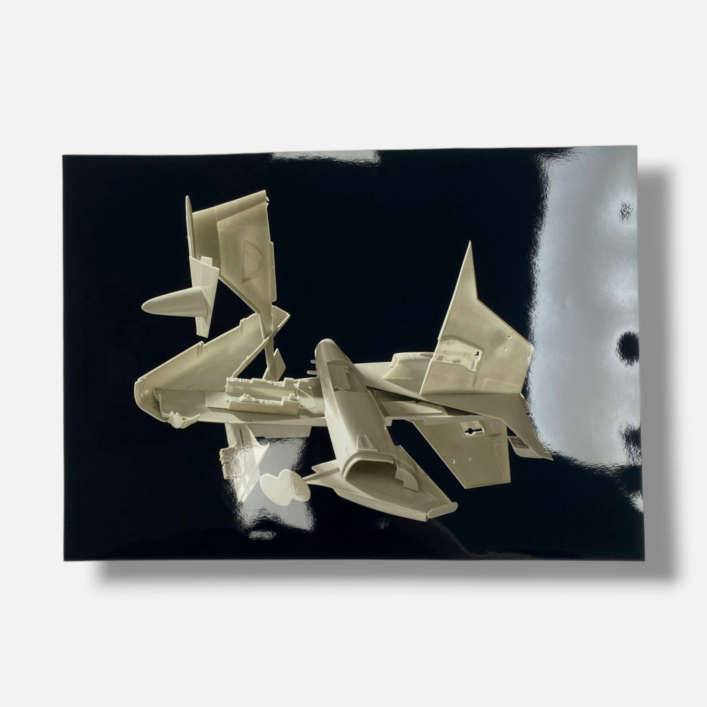 Joan Fontcuber "Pin Zhuang" 2004, Art Photography Multimedia & Book Set
