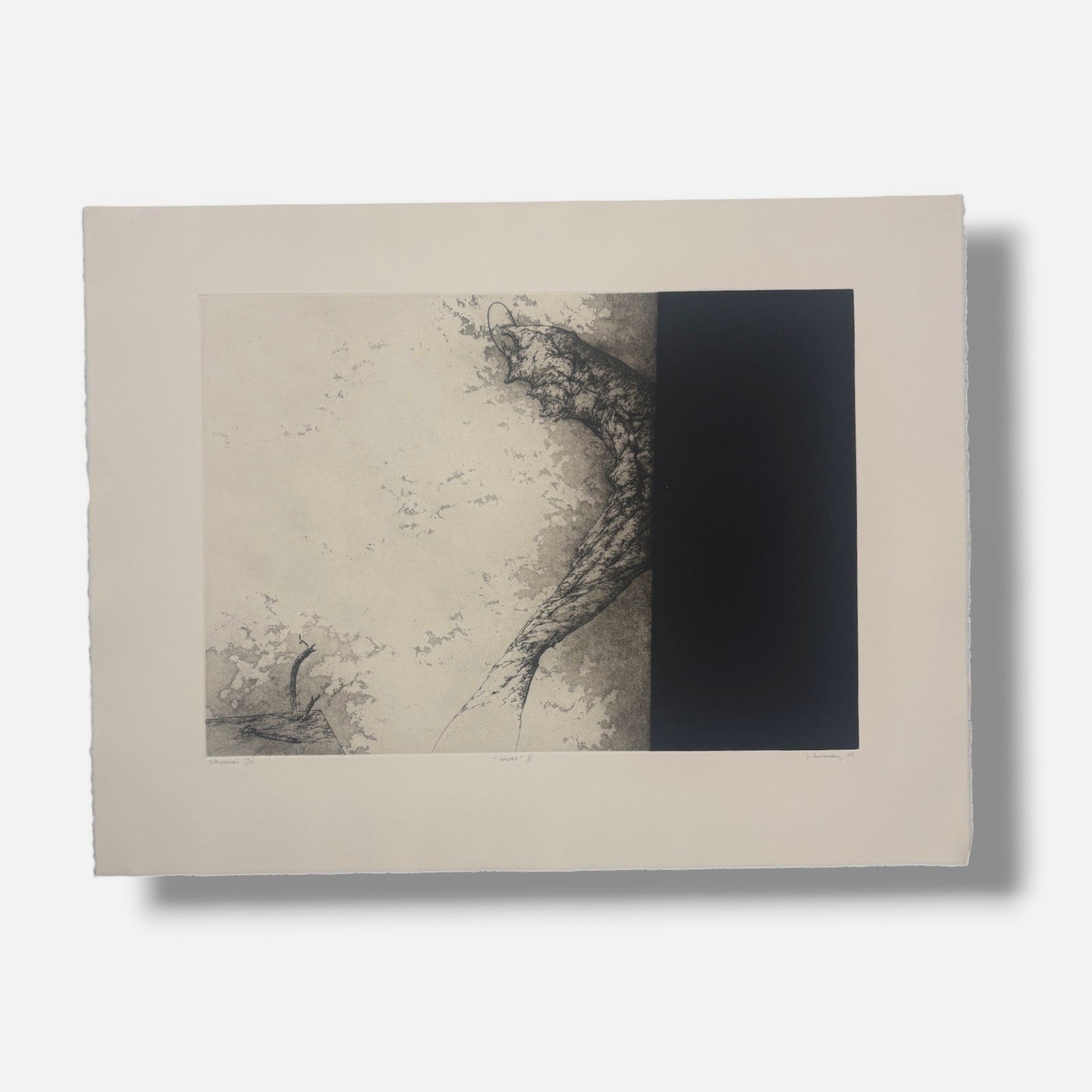 Jose Hernandez Muñoz "Sombra III" P.E. 2004 Signed Limited Fine Wall Art 50x65cm