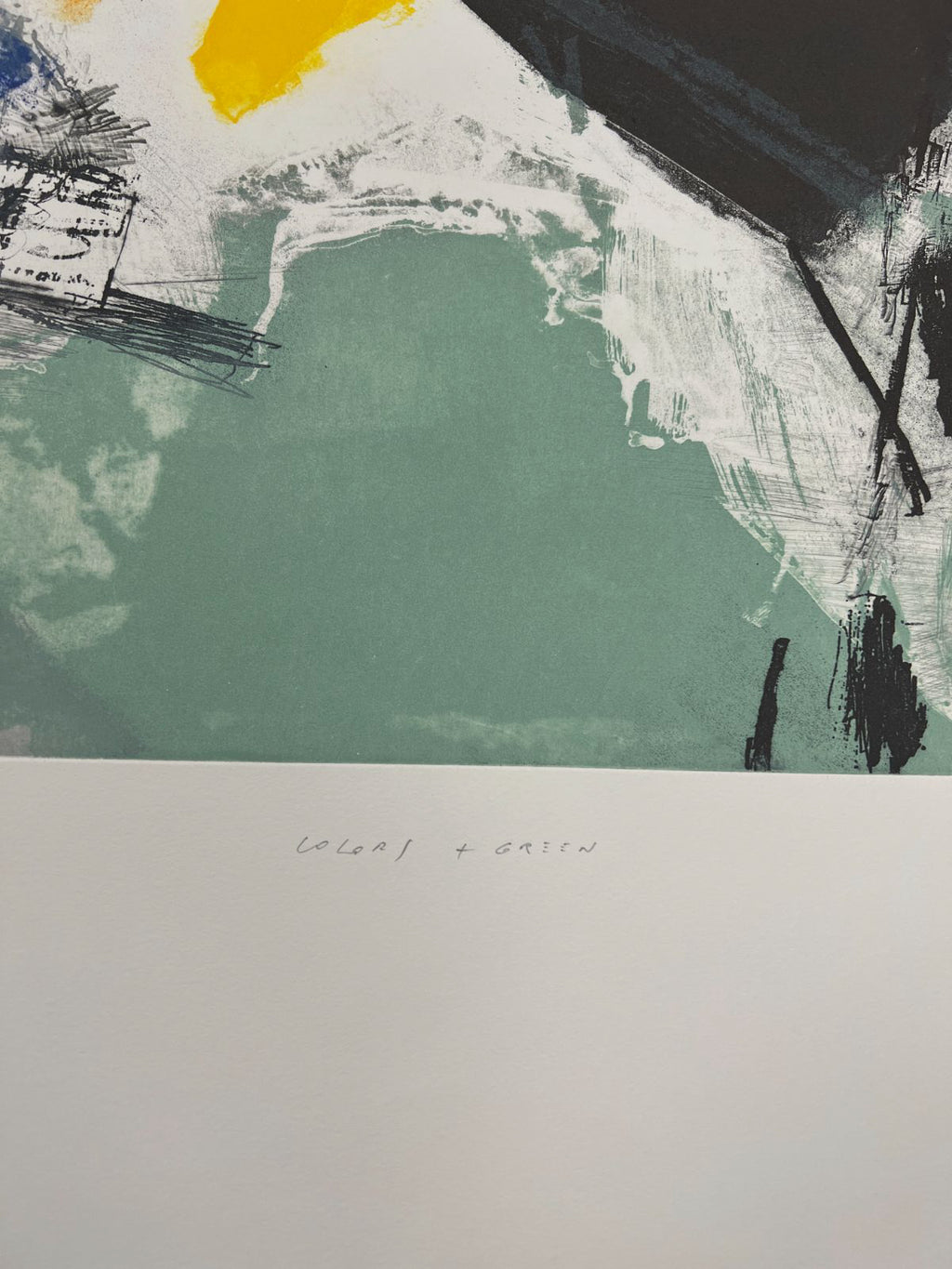 Joaquín Capa Eiriz "Colors + Green " /65 Limited Signed Fine Wall Art 56Lx76W cm