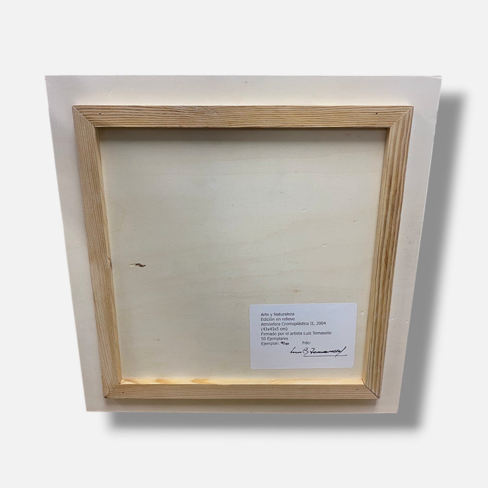 Luis Tomasello "Atmósfera Cromoplástica II" Signed Fine Wall Art | 16.9 x 16.9"
