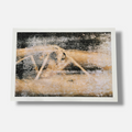 Doug and Mike Starn "Attracted to Light 19 (Ephemera)" Limited Signed Wall Art